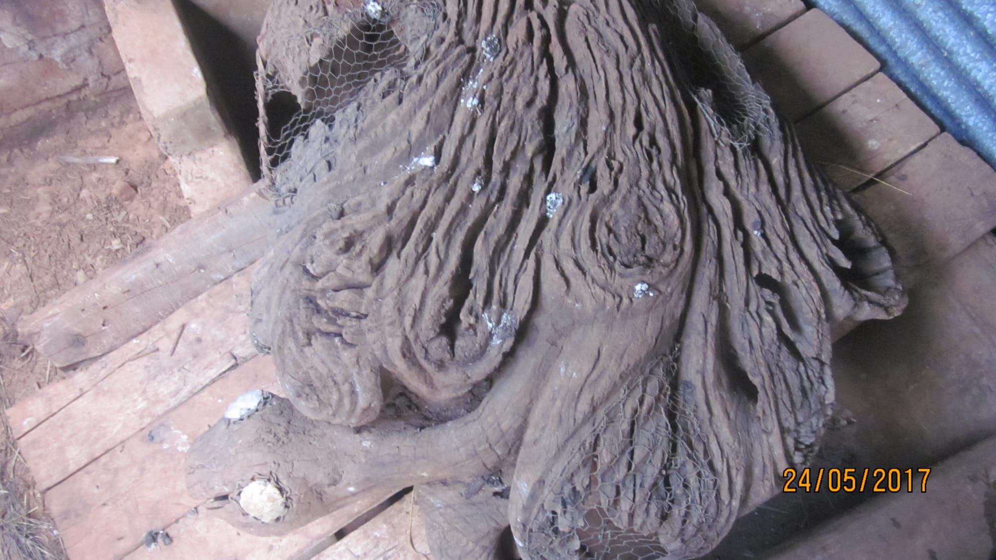 Counter Front Office